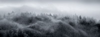 Mountain Mist