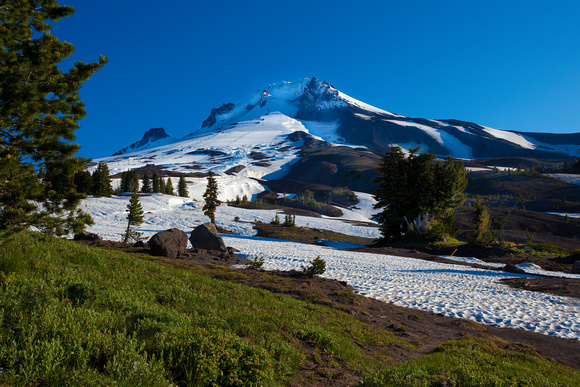 Mt. Hood at timberline