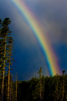 Oregon Cascades Rainbow